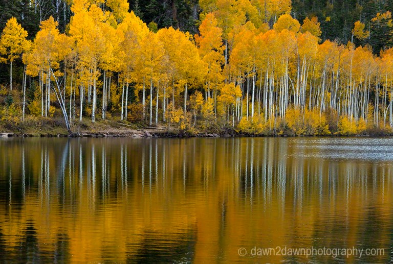 Kolob Autumn Reflection
