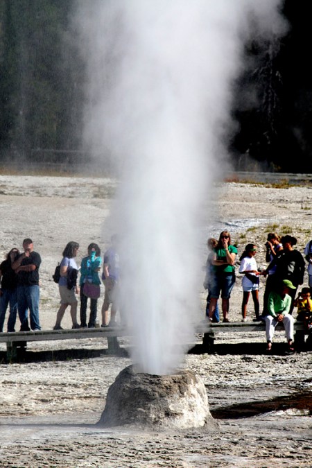 Beehive Geyser gushes amongst the throngs.