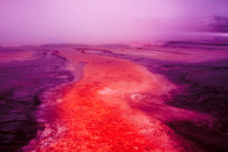 Or these colors in nature.