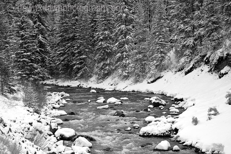 LAMAR RIVER WINTER