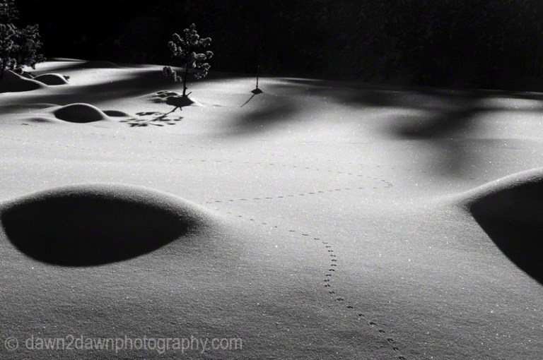 Didn't quite take the shortest way between two points.