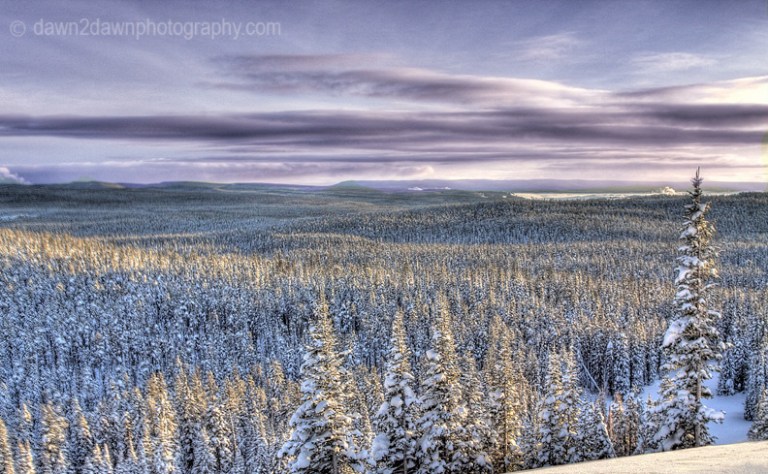 Thick snow-covered forests stretch beyond your eyes.