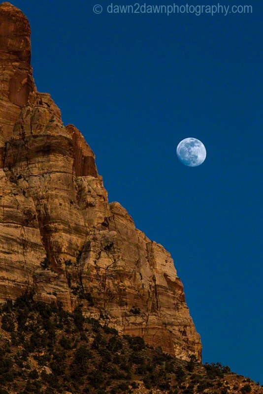 Taken a few days earlier.