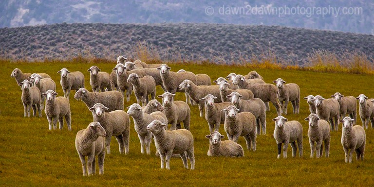 I don't think it's time for your haircut