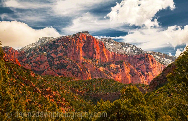 Kolob Canyon_2598