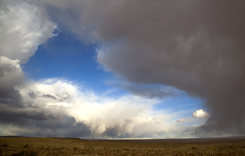 STORM CLOUDS OVER AN ARIZONA DESERT