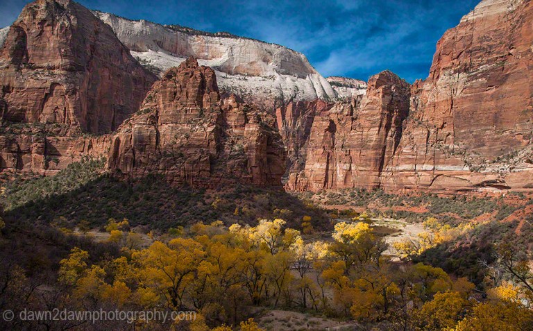 Zion's Observation Pt Trail_8576