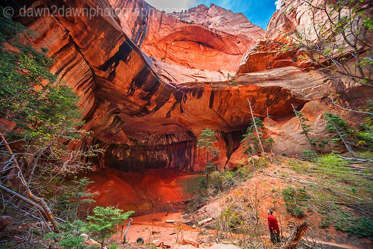 Zion's Taylor Creek_2776