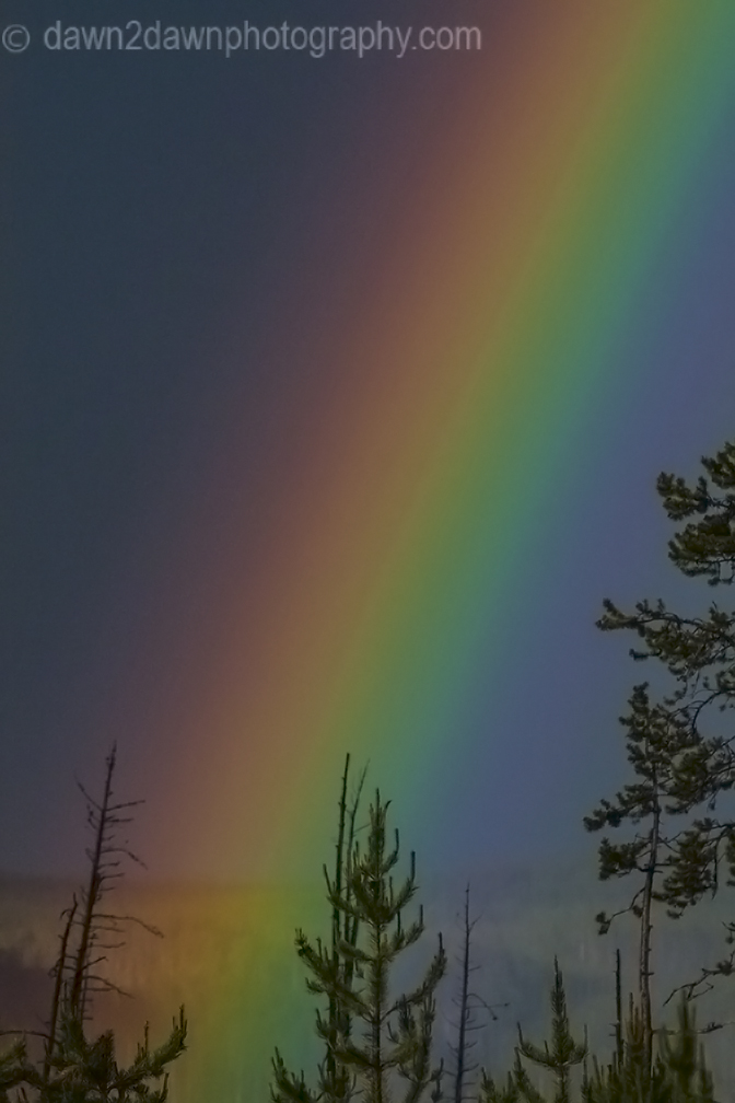 Yellowstone Rainbow