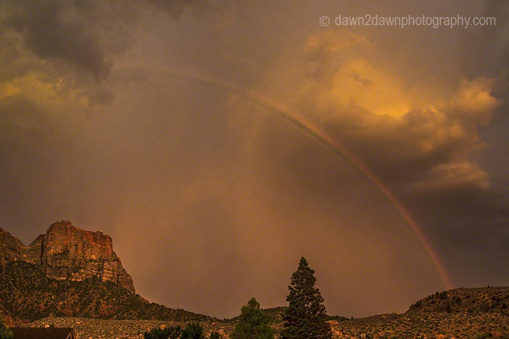 Zion Rainbow