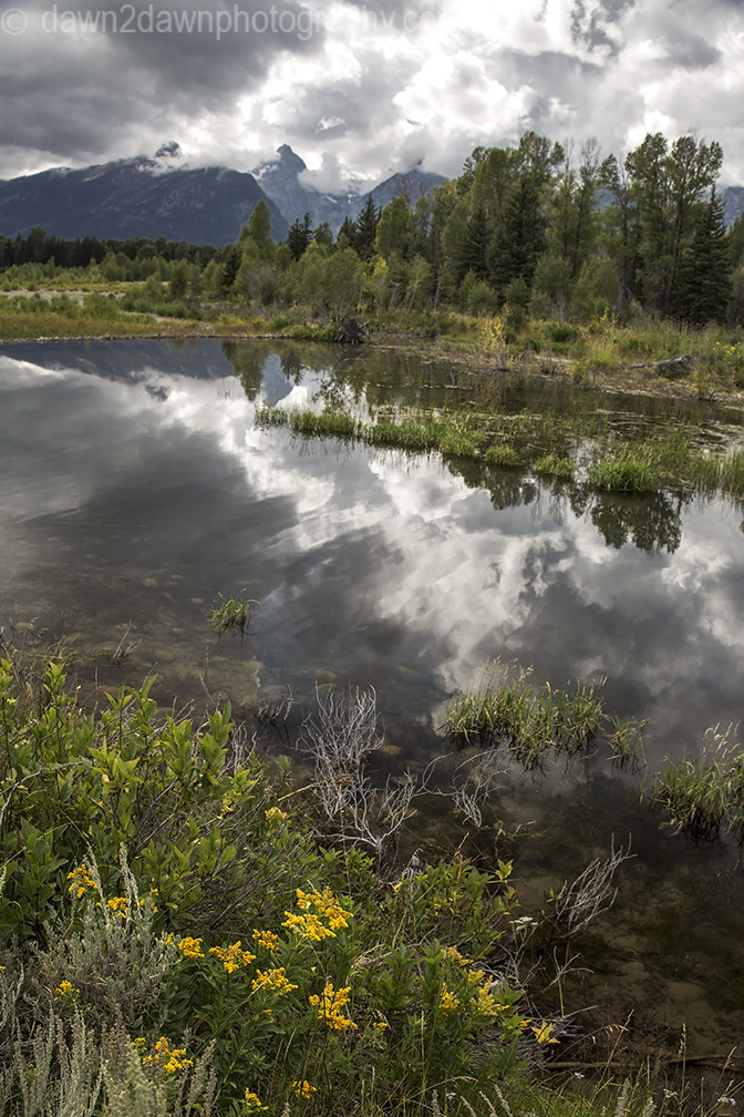 Teton Pond Reflection