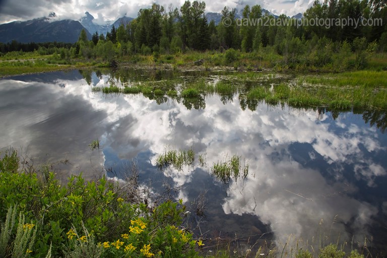 Teton Pond Reflection