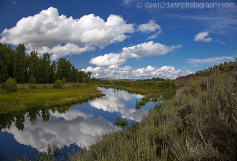 Teton Pond Reflection