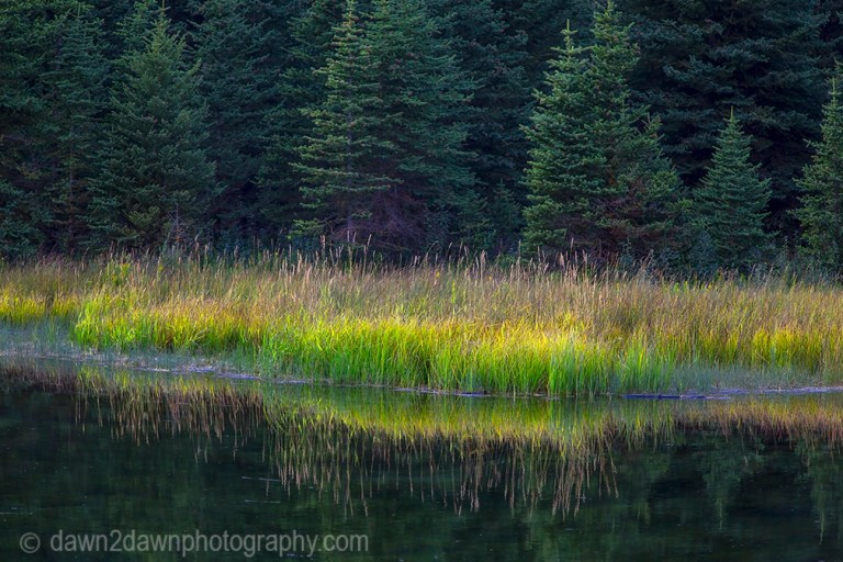 Teton Pond Reflection