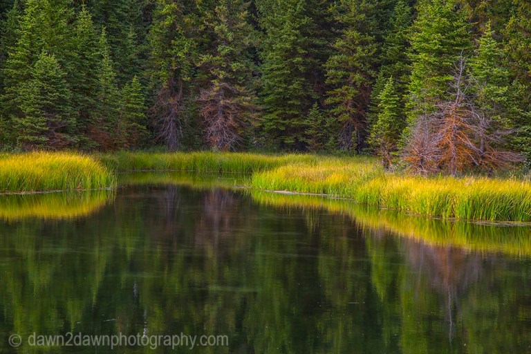 Teton Pond Reflection