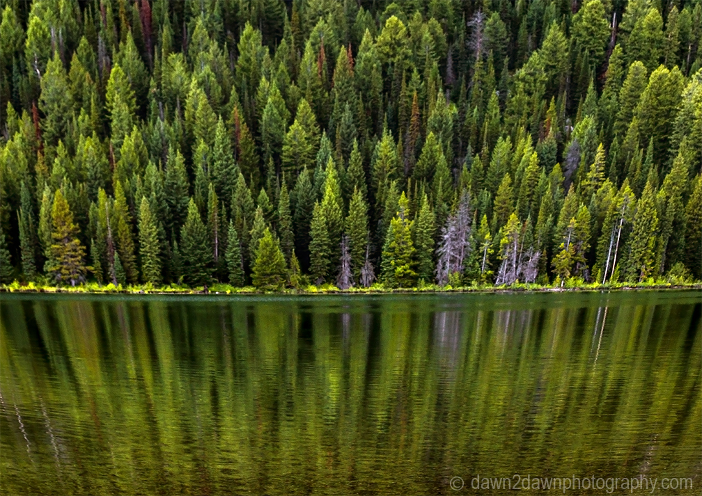 Teton Reflection