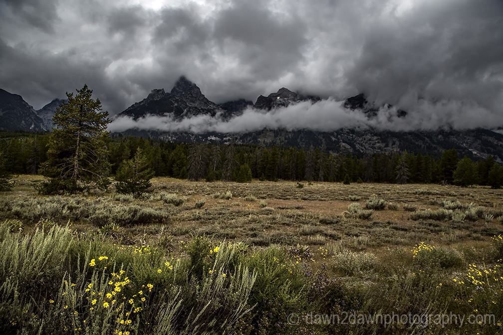 Grand Tetons
