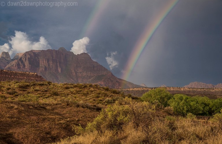 Zion Rainbow