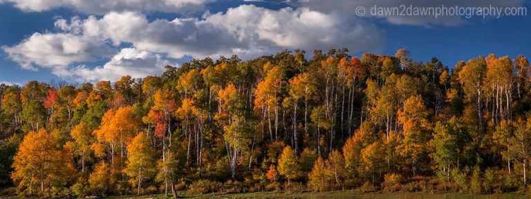 Kolob Autumn