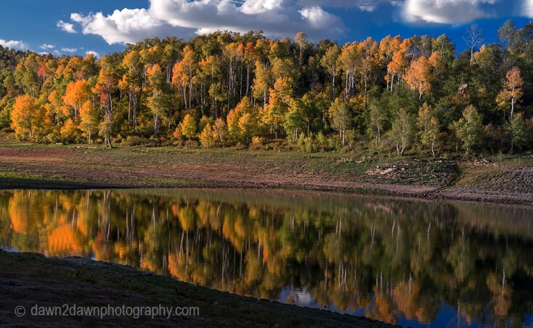 Kolob Reflection