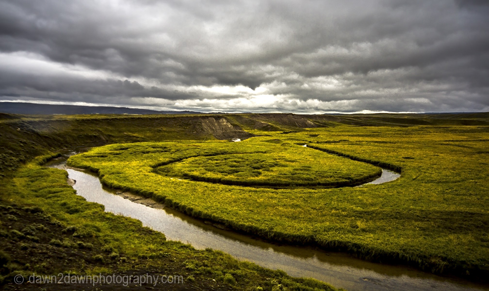 Yellowstone's Trout Creek