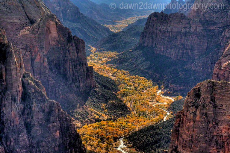 YNP COYOTE CROSSING ROAD