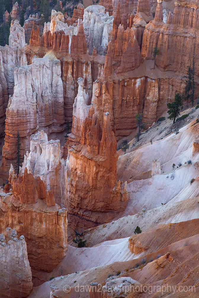 Bryce Canyon Hoodoos