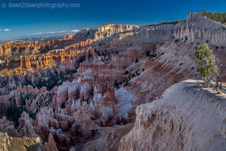 Bryce Canyon Hoodoos
