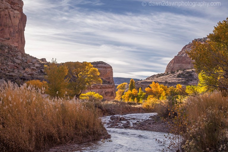 Capital Reef Fall