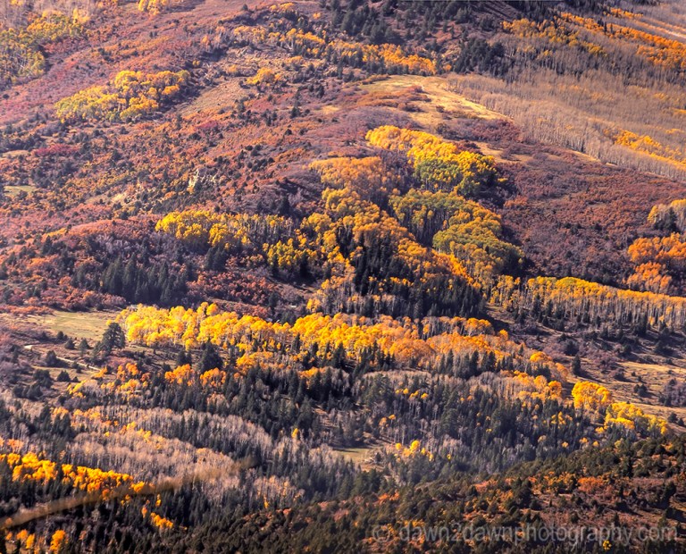 Utah Autumn