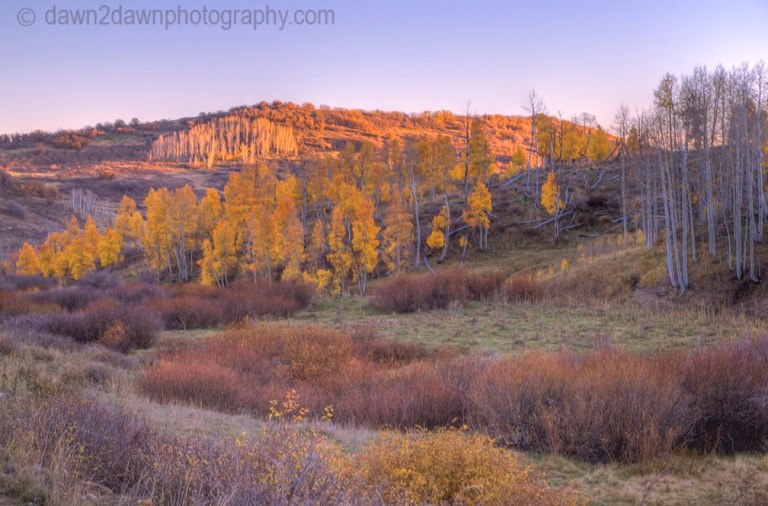 Utah Autumn