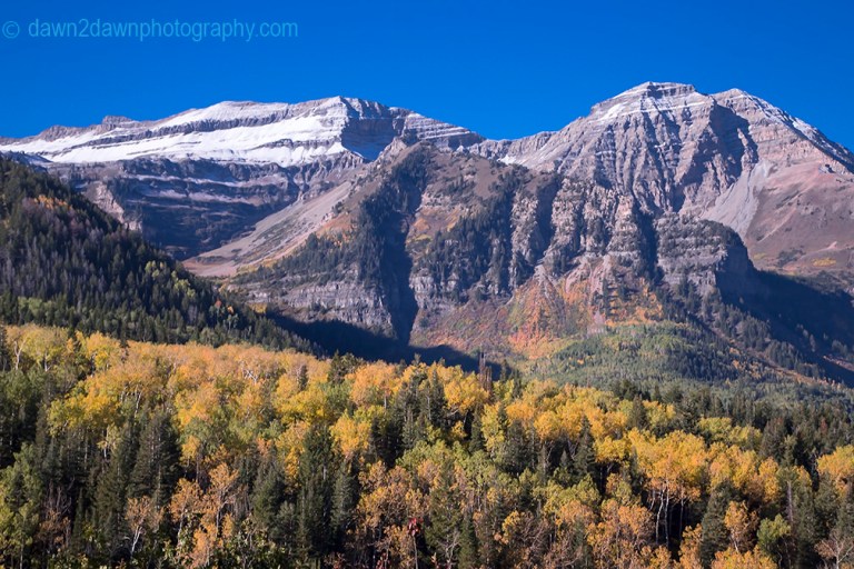 Utah Autumn