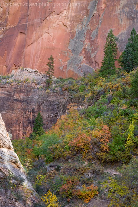 Zion's Echo Canyon Fall