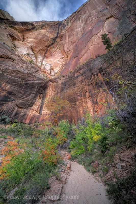 Zion's Echo Canyon Fall