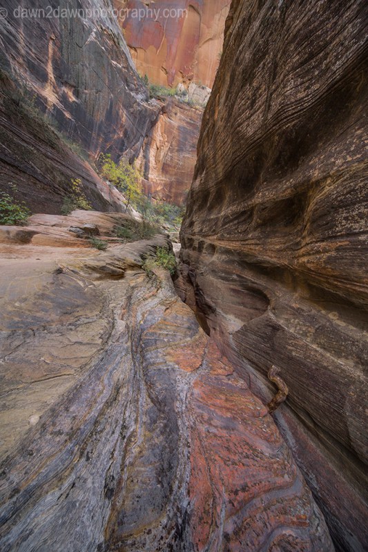 Zion's Echo Canyon Fall