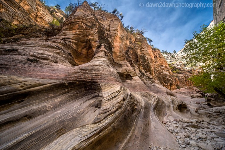 Zion's Echo Canyon Fall
