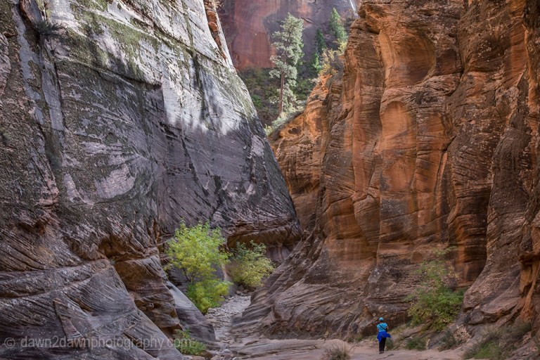 Zion's Echo Canyon Fall