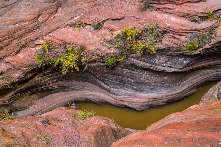 Zion's Echo Canyon Fall