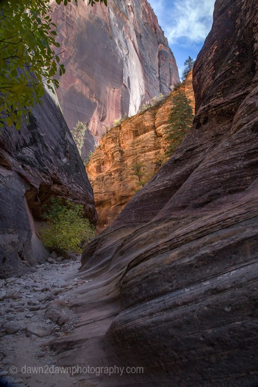 Zion's Echo Canyon Fall