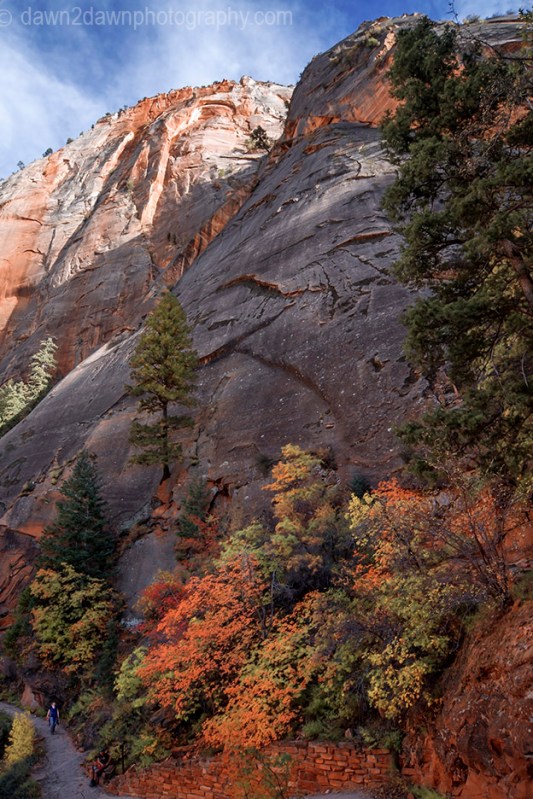 Zion's Echo Canyon Fall