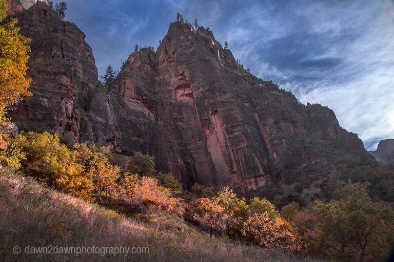 Zion Canyon Autumn