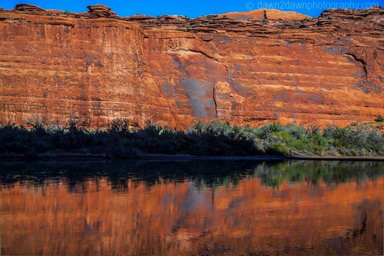 Colorado River Reflection_4965