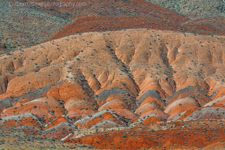 Utah Sandstone Landscape
