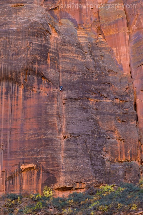 Zion Big Wall Climber