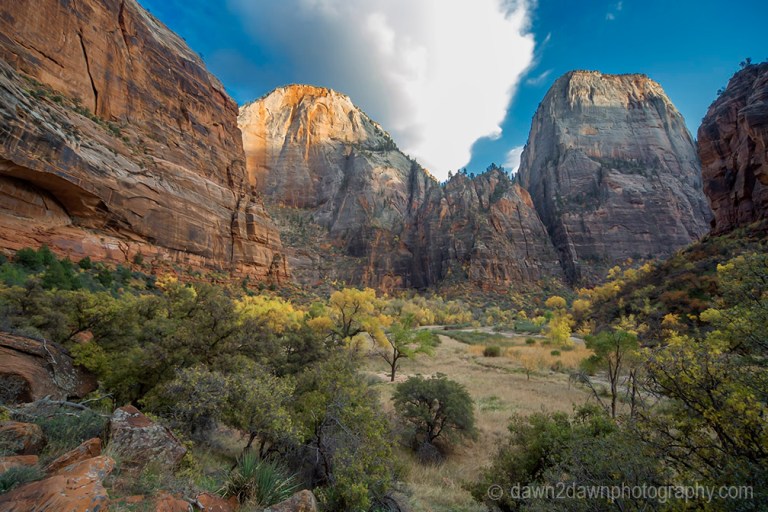 Zion Big Bend Autumn