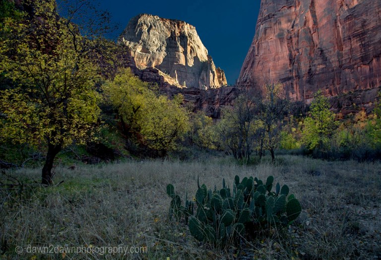Zion Big Bend Autumn