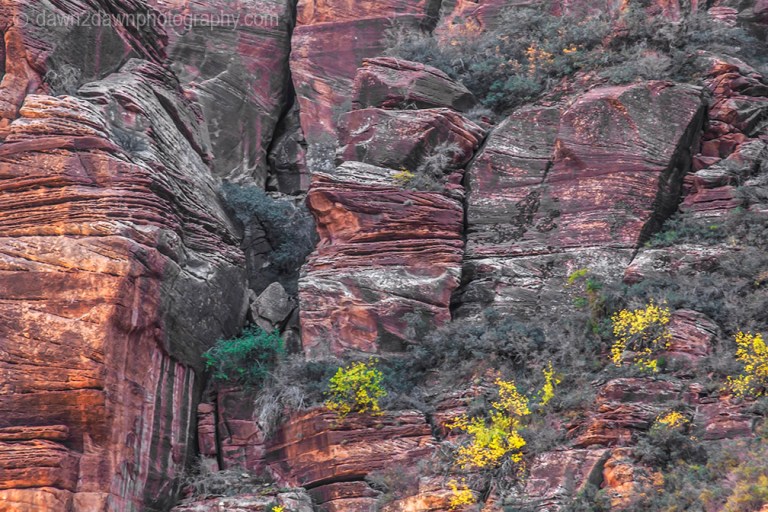 Zion Big Bend Autumn