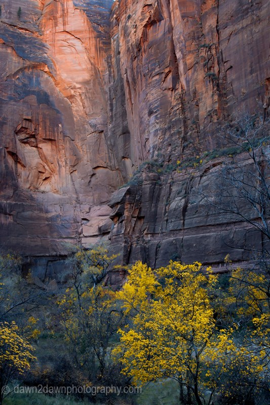 Zion Canyon Autumn