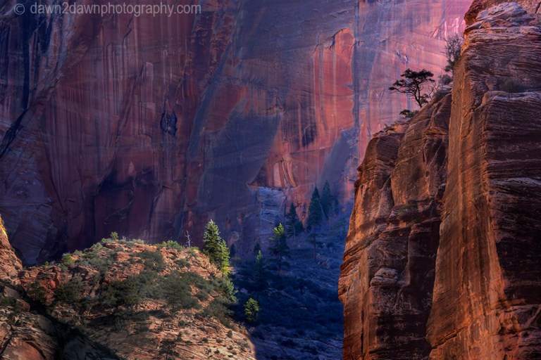 Zion Canyon
