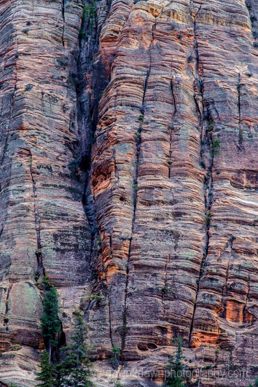 Zion Canyon